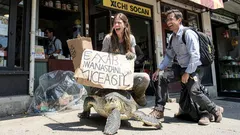 Historia corta: Conocí a la “Greta de Iztapalapa” y algo no me cuadró