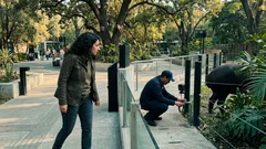 Tapir malayo: el nacimiento rarísimo en cautiverio que podría cambiar su futuro