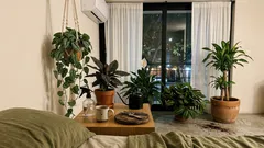 5 plantas para la recámara que se ven increíbles y casi no dan lata (con el dato real sobre el “aire puro”)